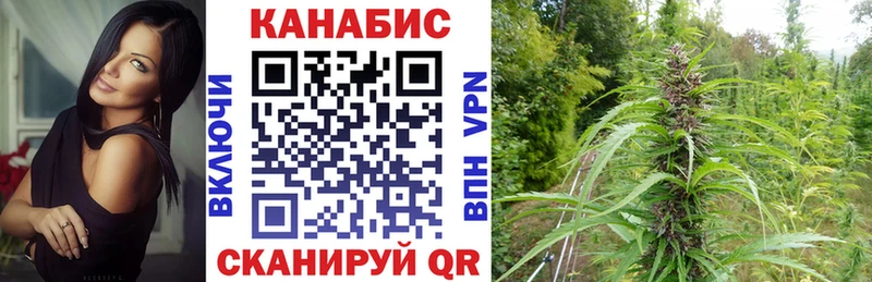 Сколько стоит Екатеринбург ГАШИШ  Каннабис  СОЛЬ  Галлюциногенные грибы  Меф мяу мяу  АМФ 