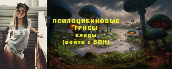 МДМА Козельск