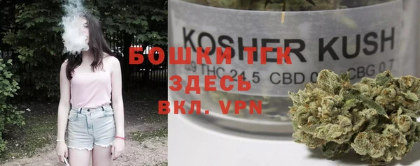 дурь Кодинск