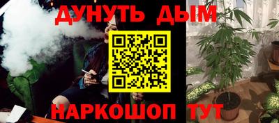 не бодяженный Гай