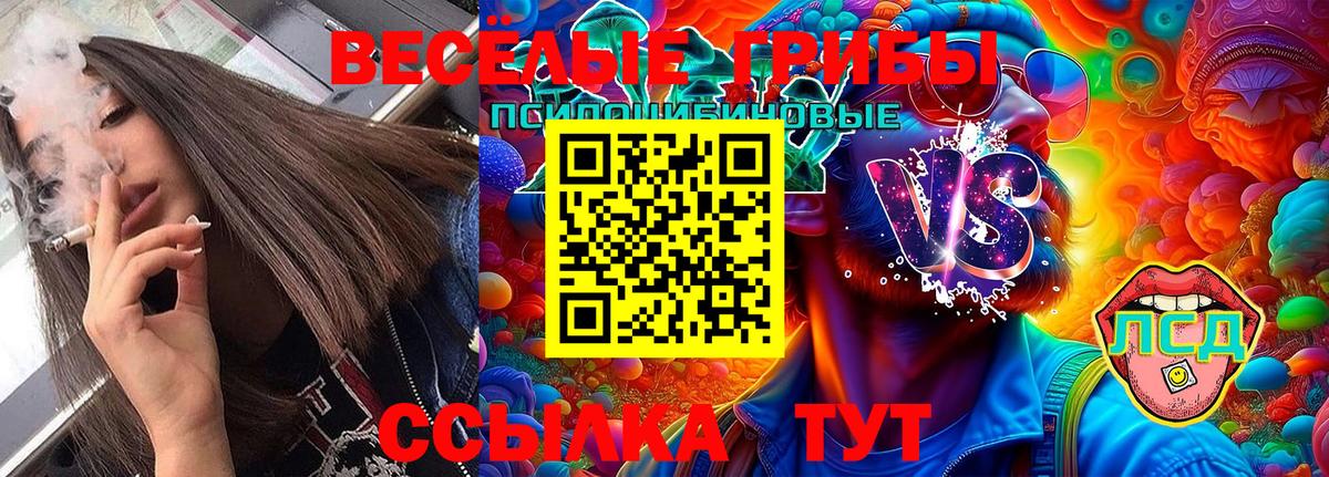 Галлюциногенные грибы Cubensis  Екатеринбург  Псилоцибиновые грибы MAGIC MUSHROOMS 
