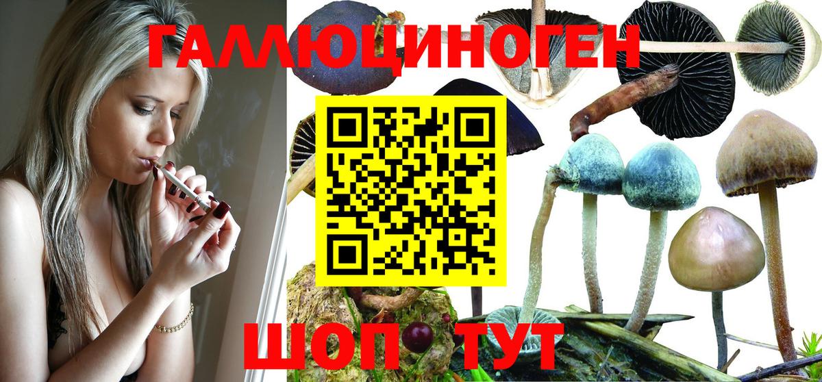 Псилоцибиновые грибы MAGIC MUSHROOMS Екатеринбург